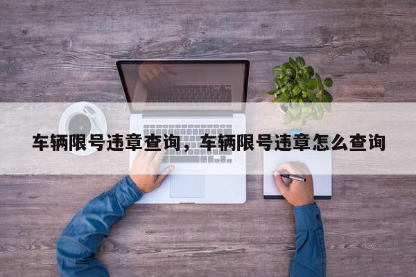 车辆限号违章查询，车辆限号违章怎么查询-第1张图片-我家生活百科
