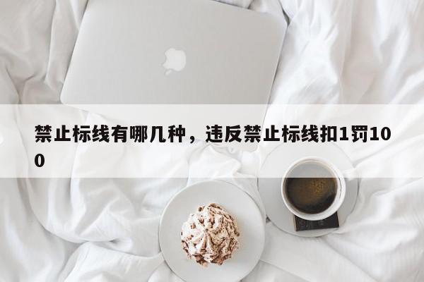 禁止标线有哪几种，违反禁止标线扣1罚100-第1张图片-我家生活百科