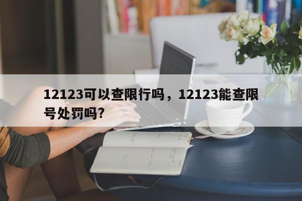 12123可以查限行吗，12123能查限号处罚吗?-第1张图片-我家生活百科