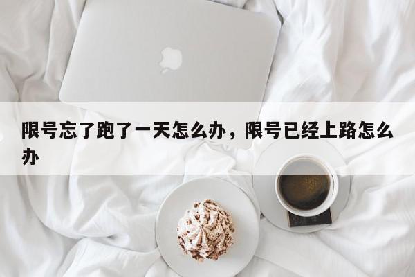 限号忘了跑了一天怎么办，限号已经上路怎么办-第1张图片-我家生活百科
