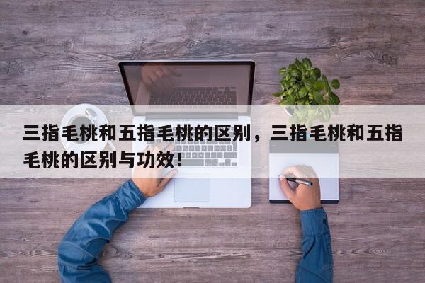 三指毛桃和五指毛桃的区别，三指毛桃和五指毛桃的区别与功效！-第1张图片-我家生活百科