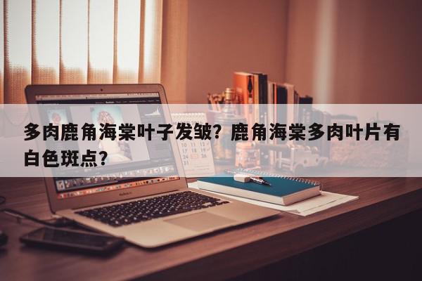 多肉鹿角海棠叶子发皱？鹿角海棠多肉叶片有白色斑点？-第1张图片-我家生活百科