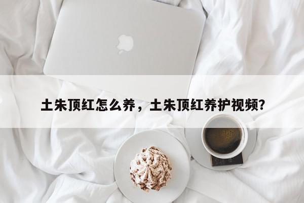 土朱顶红怎么养，土朱顶红养护视频？-第1张图片-我家生活百科