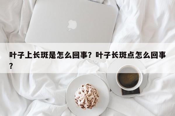 叶子上长斑是怎么回事？叶子长斑点怎么回事？-第1张图片-我家生活百科