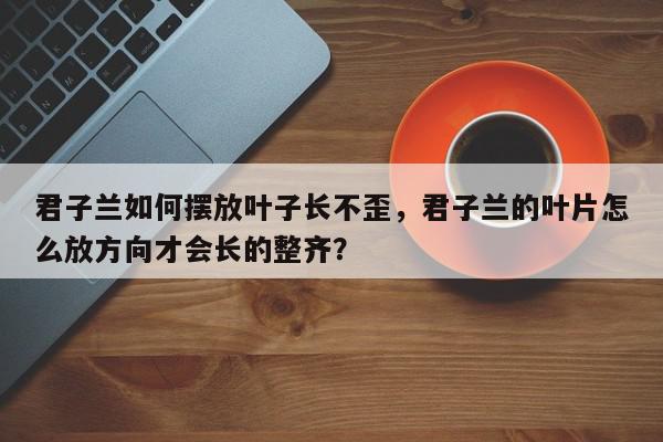 君子兰如何摆放叶子长不歪，君子兰的叶片怎么放方向才会长的整齐？-第1张图片-我家生活百科