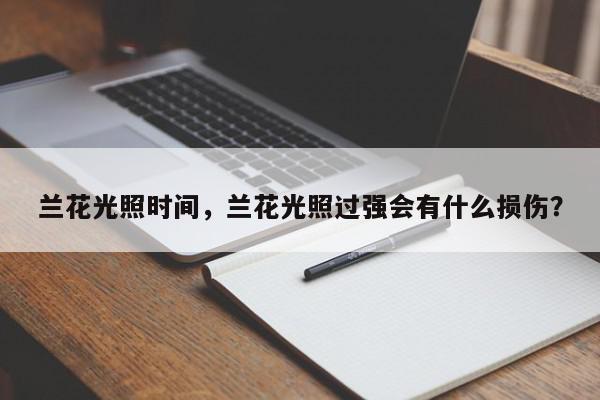 兰花光照时间，兰花光照过强会有什么损伤？-第1张图片-我家生活百科