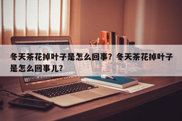 冬天茶花掉叶子是怎么回事？冬天茶花掉叶子是怎么回事儿？-第1张图片-我家生活百科