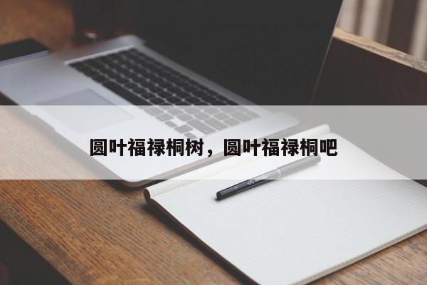 圆叶福禄桐树，圆叶福禄桐吧-第1张图片-我家生活百科