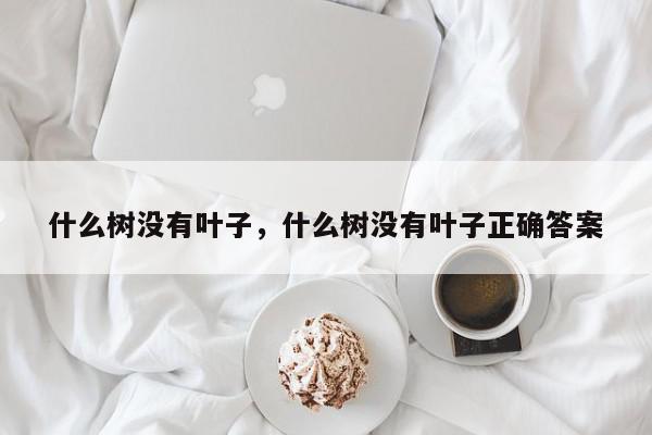 什么树没有叶子，什么树没有叶子正确答案-第1张图片-我家生活百科