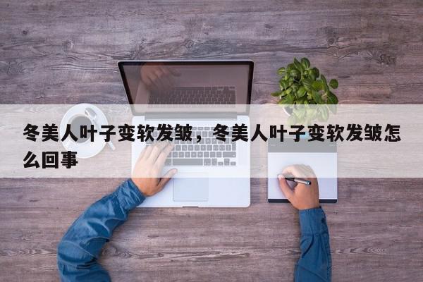 冬美人叶子变软发皱，冬美人叶子变软发皱怎么回事-第1张图片-我家生活百科