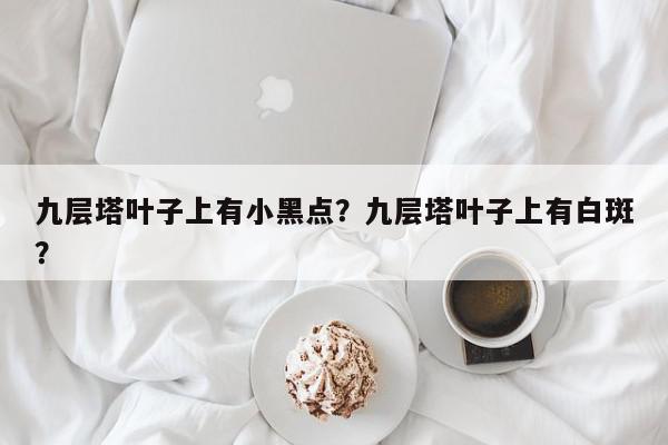 九层塔叶子上有小黑点？九层塔叶子上有白斑？-第1张图片-我家生活百科