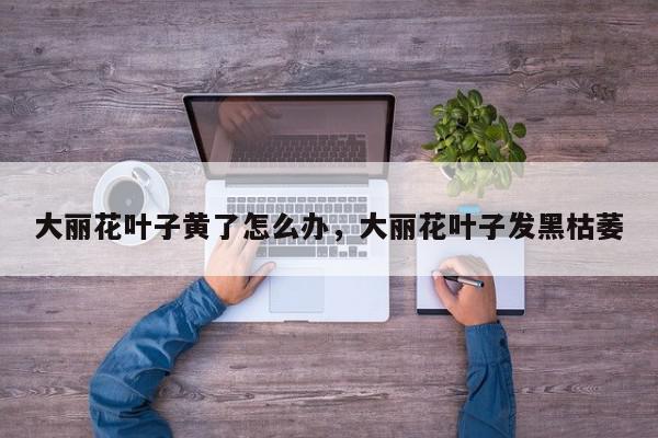 大丽花叶子黄了怎么办，大丽花叶子发黑枯萎-第1张图片-我家生活百科