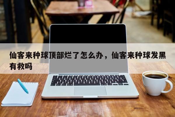仙客来种球顶部烂了怎么办，仙客来种球发黑有救吗-第1张图片-我家生活百科