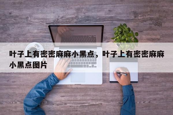 叶子上有密密麻麻小黑点，叶子上有密密麻麻小黑点图片-第1张图片-我家生活百科