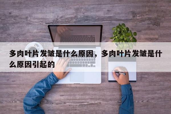 多肉叶片发皱是什么原因，多肉叶片发皱是什么原因引起的-第1张图片-我家生活百科