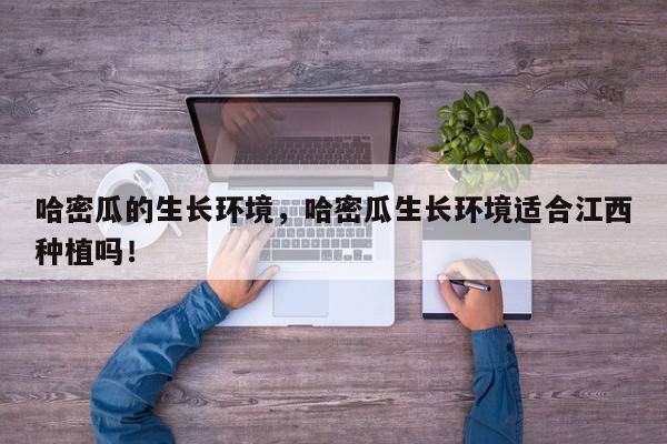 哈密瓜的生长环境，哈密瓜生长环境适合江西种植吗！-第1张图片-我家生活百科