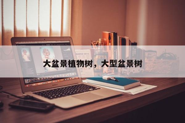 大盆景植物树，大型盆景树-第1张图片-我家生活百科