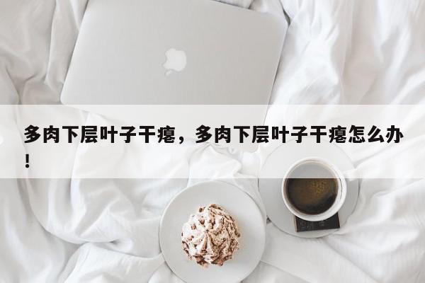 多肉下层叶子干瘪，多肉下层叶子干瘪怎么办！-第1张图片-我家生活百科