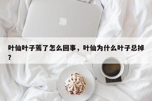 叶仙叶子蔫了怎么回事，叶仙为什么叶子总掉？-第1张图片-我家生活百科