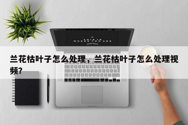 兰花枯叶子怎么处理，兰花枯叶子怎么处理视频？-第1张图片-我家生活百科