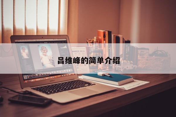 吕维峰的简单介绍-第1张图片-我家生活百科