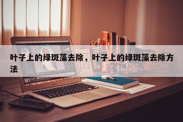 叶子上的绿斑藻去除，叶子上的绿斑藻去除方法-第1张图片-我家生活百科