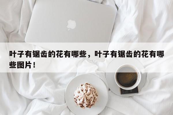 叶子有锯齿的花有哪些，叶子有锯齿的花有哪些图片！-第1张图片-我家生活百科