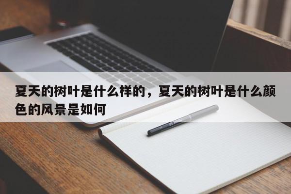 夏天的树叶是什么样的，夏天的树叶是什么颜色的风景是如何-第1张图片-我家生活百科