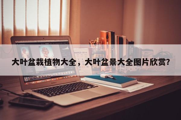 大叶盆栽植物大全，大叶盆景大全图片欣赏？-第1张图片-我家生活百科