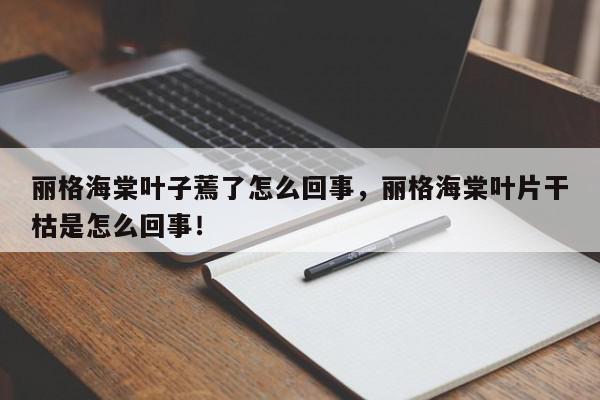 丽格海棠叶子蔫了怎么回事，丽格海棠叶片干枯是怎么回事！-第1张图片-我家生活百科