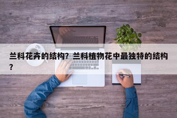 兰科花卉的结构？兰科植物花中最独特的结构？-第1张图片-我家生活百科