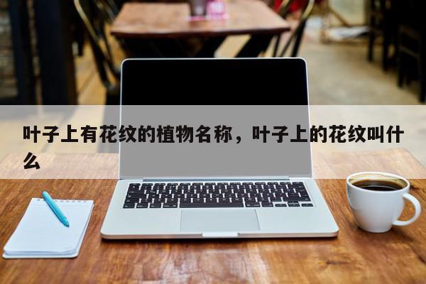 叶子上有花纹的植物名称，叶子上的花纹叫什么-第1张图片-我家生活百科