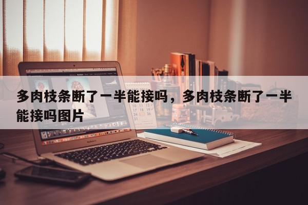 多肉枝条断了一半能接吗，多肉枝条断了一半能接吗图片-第1张图片-我家生活百科