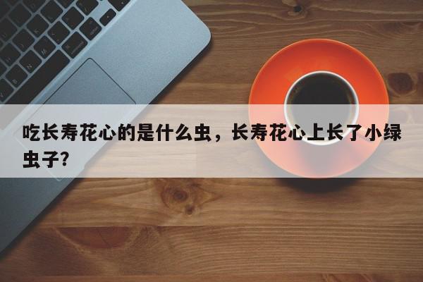 吃长寿花心的是什么虫，长寿花心上长了小绿虫子？-第1张图片-我家生活百科