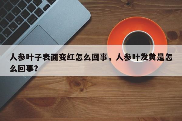 人参叶子表面变红怎么回事，人参叶发黄是怎么回事？-第1张图片-我家生活百科