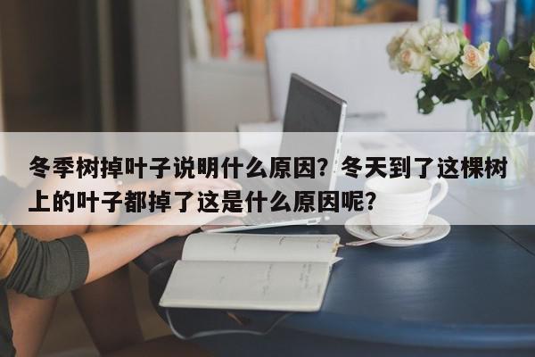 冬季树掉叶子说明什么原因？冬天到了这棵树上的叶子都掉了这是什么原因呢？-第1张图片-我家生活百科