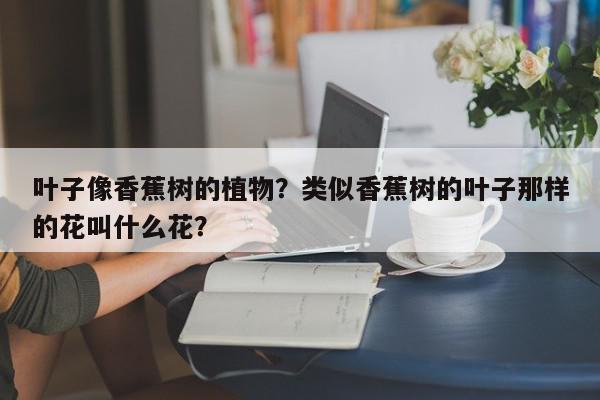 叶子像香蕉树的植物？类似香蕉树的叶子那样的花叫什么花？-第1张图片-我家生活百科