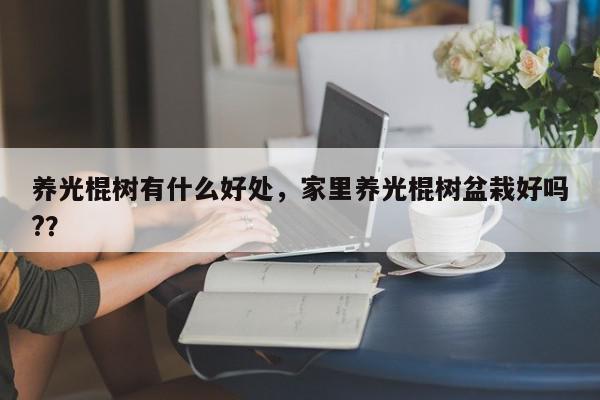 养光棍树有什么好处，家里养光棍树盆栽好吗?？-第1张图片-我家生活百科