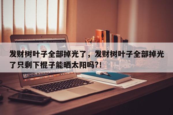 发财树叶子全部掉光了，发财树叶子全部掉光了只剩下棍子能晒太阳吗?！-第1张图片-我家生活百科