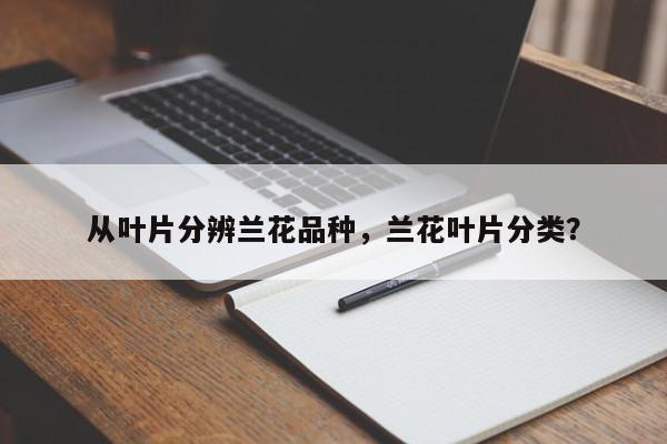 从叶片分辨兰花品种，兰花叶片分类？-第1张图片-我家生活百科