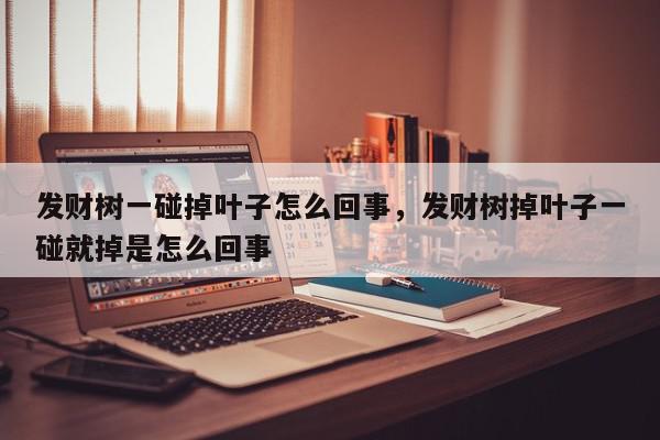 发财树一碰掉叶子怎么回事，发财树掉叶子一碰就掉是怎么回事-第1张图片-我家生活百科
