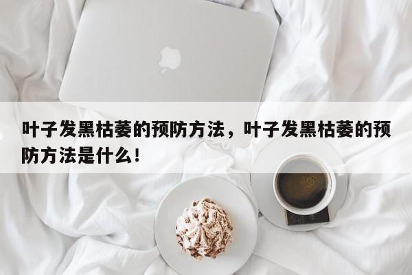 叶子发黑枯萎的预防方法，叶子发黑枯萎的预防方法是什么！-第1张图片-我家生活百科