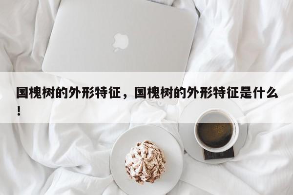 国槐树的外形特征，国槐树的外形特征是什么！-第1张图片-我家生活百科