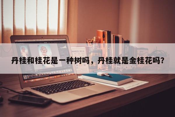 丹桂和桂花是一种树吗，丹桂就是金桂花吗？-第1张图片-我家生活百科