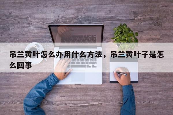 吊兰黄叶怎么办用什么方法，吊兰黄叶子是怎么回事-第1张图片-我家生活百科