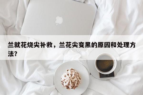 兰就花烧尖补救，兰花尖变黑的原因和处理方法？-第1张图片-我家生活百科