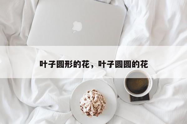 叶子圆形的花，叶子圆圆的花-第1张图片-我家生活百科