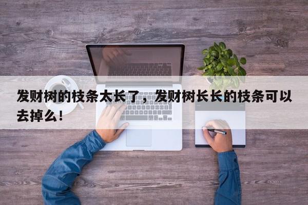 发财树的枝条太长了，发财树长长的枝条可以去掉么！-第1张图片-我家生活百科