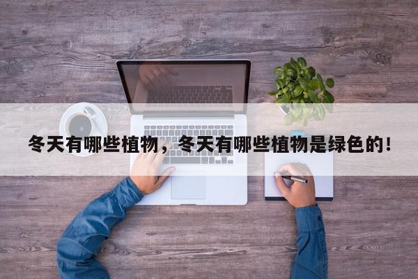 冬天有哪些植物，冬天有哪些植物是绿色的！-第1张图片-我家生活百科