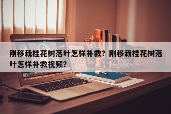 刚移栽桂花树落叶怎样补救？刚移栽桂花树落叶怎样补救视频？-第1张图片-我家生活百科